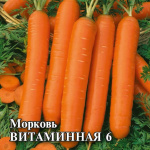 Морковь Витаминная 6  25,0 г