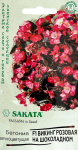 Бегония Викинг розовая на шоколадном F1, гибрид. гранул. 4 шт. проб. Саката сер. Элитная клумба Н21