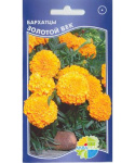 tagetes2b_300_360