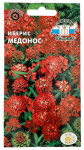 Иберис зонтичный МЕДОНОС СеДеК