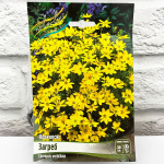 Кореопсис ЗАГРЕБ