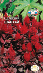 Целозия плюмоза Шанхай