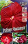 Гибискус Роберт Флеминг (1шт)