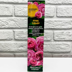 Роза бурбонская ЛУИС ОДЬЕР