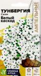 Тунбергия крылатая Сюзи Белый каскад 4шт