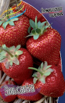 Земляника (Клубника) Эльсанта (5 шт) 2168