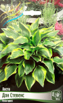 Хоста Дон Стевенс (2шт)
