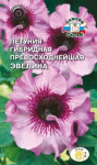 Петуния Эвелина