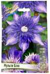 Клематис МУЛЬТИ БЛЮ (2 группа обрезки)