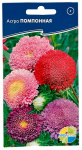 Астра ПОМПОННАЯ АКВАРЕЛЬ