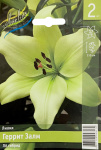 Лилия Геррит Залм (2шт)