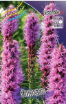Лиатрис Спиката (8шт) 115