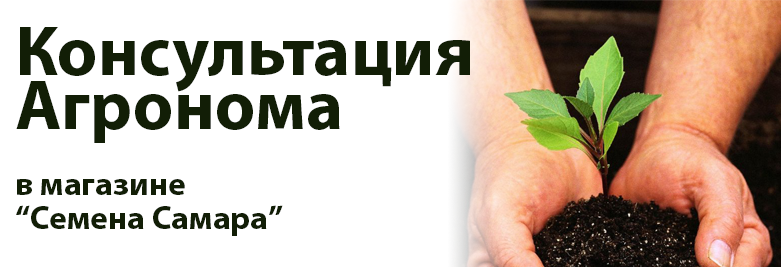 консультация агронома