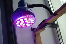 Фитолампа для растений на подоконнике