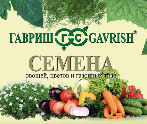 gavrish.jpg gavrish.jpg