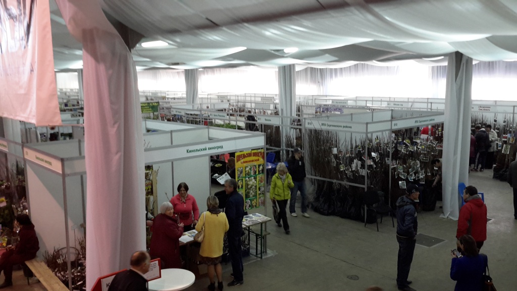 Фото рядов.jpg