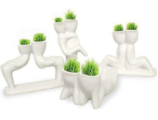 132990561_1_644x461_travyanchik-keramicheskiy-dvoynoy-belyy-izmail.jpg 132990561_1_644x461_travyanchik-keramicheskiy-dvoynoy-belyy-izmail.jpg