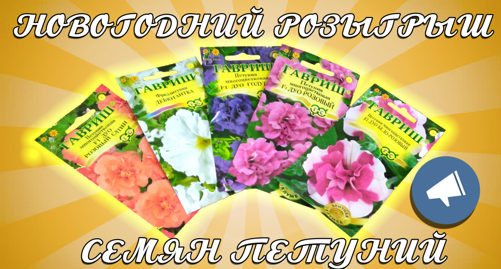 Семена петуний за репост розыгрыш Семена петуний за репост розыгрыш