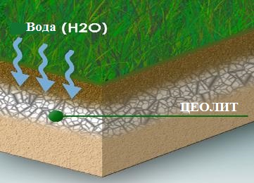 фото цеолит в растениеводстве.jpg фото цеолит в растениеводстве.jpg