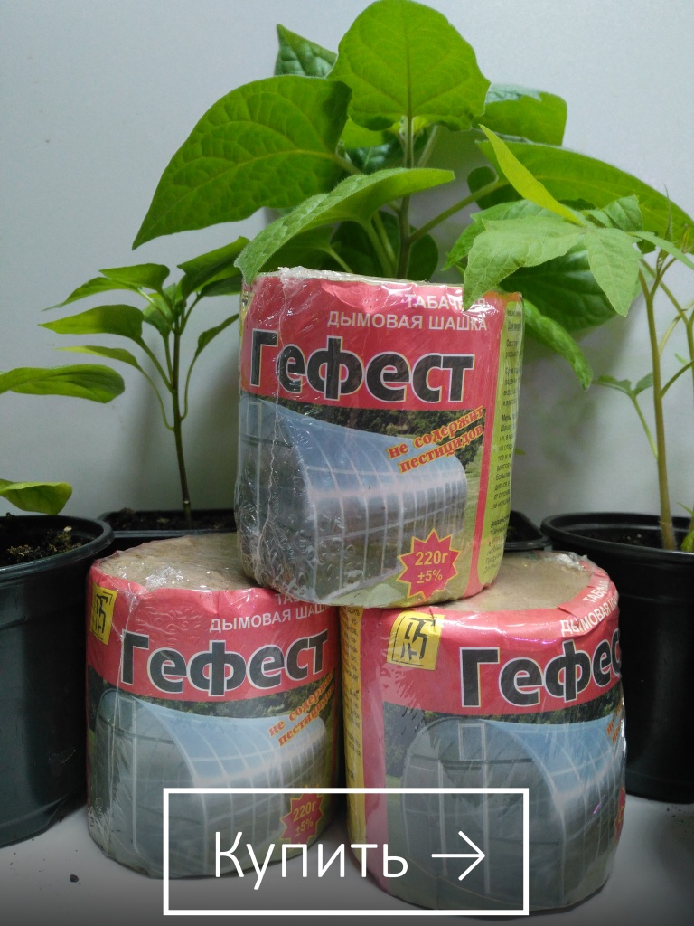 Купить дымовую шашку "Гефест"