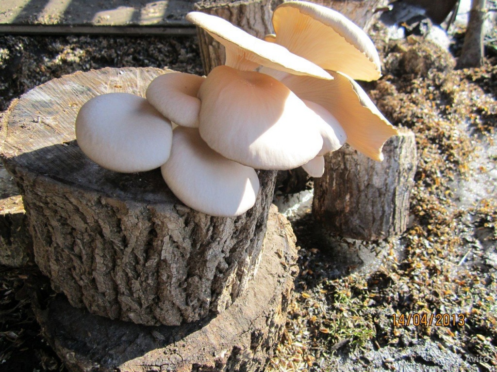 492516124.jpg 492516124.jpg