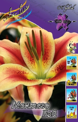 Лилия Монтего Бэй (1шт) 3122