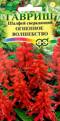 Сальвия Шалфей сверкающий Огненное волшебство 0,1 г