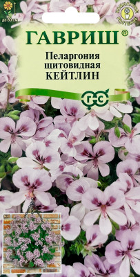 Пеларгония Кейтлин ампельная 3шт Пеларгония Кейтлин ампельная 3шт