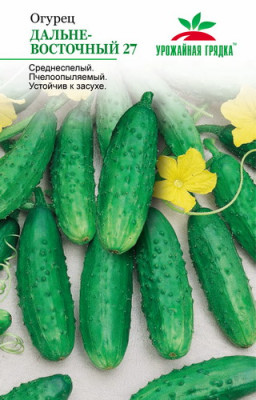 Огурец Дальневосточный 27 УГ
