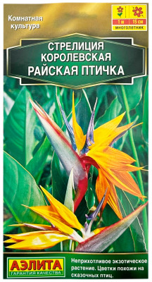 Стрелиция королевская РАЙСКАЯ ПТИЧКА АЭЛИТА