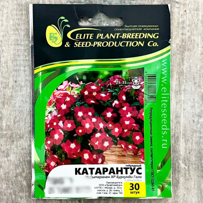 КАТАРАНТУС гибридный медитеранен ХР БУРГУНДИ гало