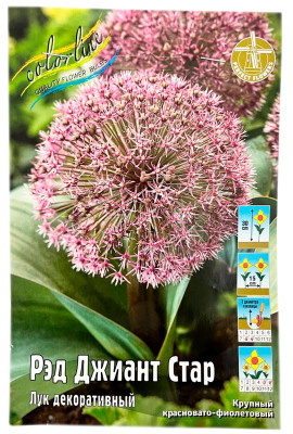 Лук декоративный РЭД ДЖИАНТ СТАР