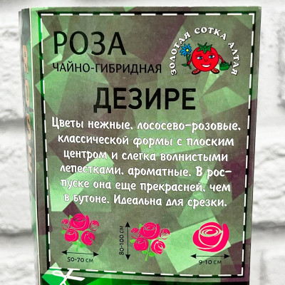 Роза чайно-гибридная ДЕЗИРЕ описание