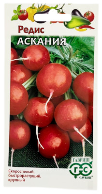 Редис Аскания ГАВРИШ