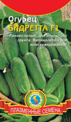 Огурец Бидретта