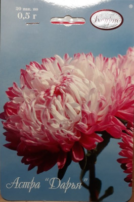 Астра Дарья 0,5г