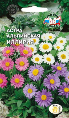Астра Иллирия альпийская (смесь)