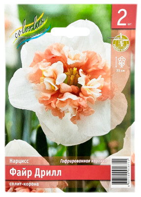 Нарцисс ФАЙР ДРИЛЛ сплит корона