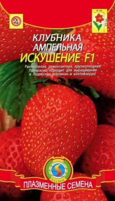 Клубника Искушение ампельная
