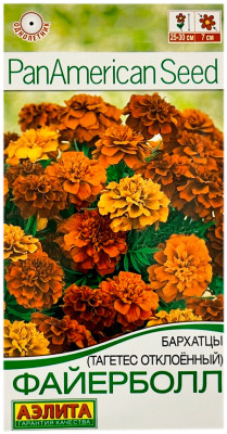 Тагетес отклонённый бархатцы ФАЙЕРБОЛЛ АЭЛИТА