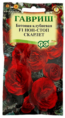 Бегония клубневая НОН СТОП СКАРЛЕТ ГАВРИШ