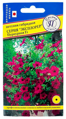 Петуния гибридная Эксплорер пурпурная F1 ПРЕСТИЖ
