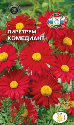 Пиретрум Робинзона Комедиант (гибридный, красный) (Евро, 0,1)