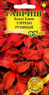Колеус Тэррено румяный 4шт