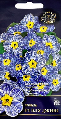 Примула Блу Джинс F1 (бесстебельная) (Евро, 5)