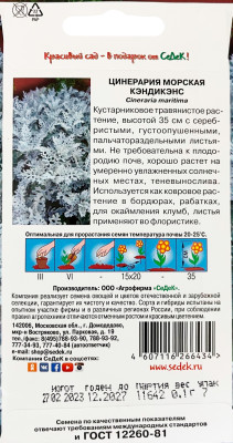 Цинерария морская Кэндикенс