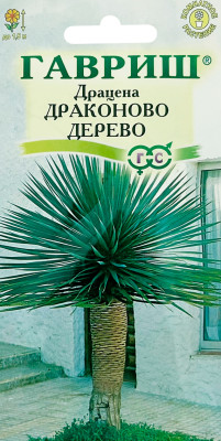 Драцена Драконово Дерево ГАВРИШ