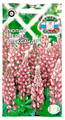 Люпин многолистный МЕСЬЕ АЛЕКСАНДР СеДеК