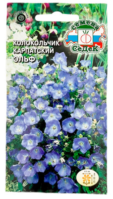 Колокольчик КАРПАТСКИЙ ЭЛЬФ СеДеК