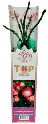 Роза флорибунда ЖЮБИЛЕ ДЮ ПРИНС ДЕ МОНАКО (2)